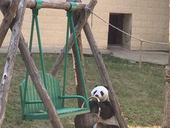 -石家庄市动物园