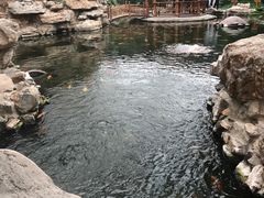-龙达温泉生态城