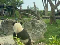 -武汉动物园