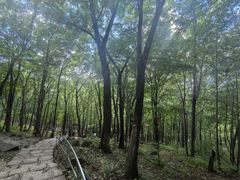 -帽儿山风景区