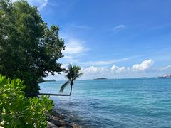 -巴拉湾海滩