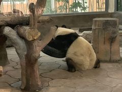 -宁波野生动物园