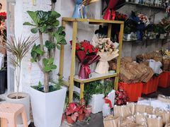 -溪岸路花鸟市场