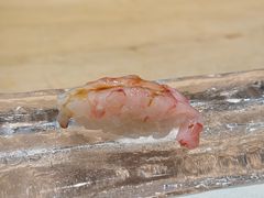 -元熹会席料理
