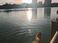 -美兰湖景区