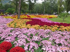 -国家植物园