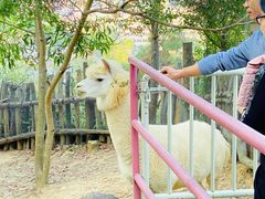 -汕尾铜鼎山旅游区