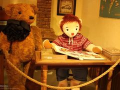 -济州岛泰迪熊博物馆