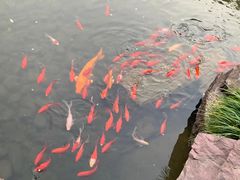 -三台山庄中餐厅