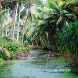 三亚小众秘境|海棠湾椰子洲岛