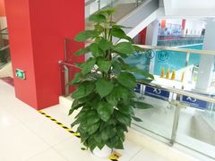 -苏州市妇女儿童活动中心