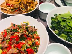 -壹盏灯(惠农店)