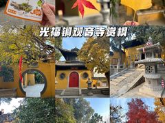 -光福景区