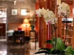 -北京古城老院厉晓麟精致菜