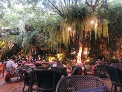 -Fern Forest Cafe