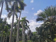 -中国科学院西双版纳热带植物园
