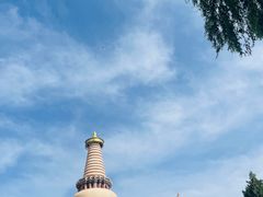 -张掖大佛寺景区