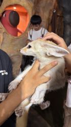 -Zoolung Zoolung动物主题公园(海信广场店)