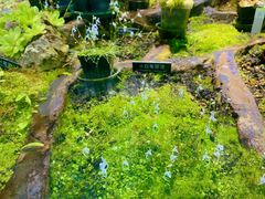 -北京植物园-展览温室