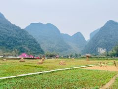 -靖西鹅泉风景区