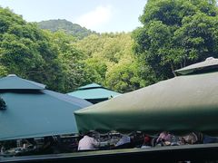 -阿巧茶庄