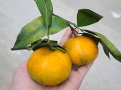 -源园农家饭店(十六年店)