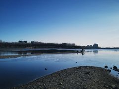 -沈阳鸟岛