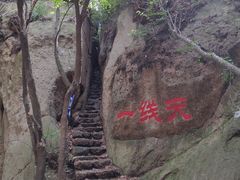 -六里坪国家森林公园