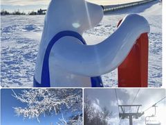 -富龙滑雪场