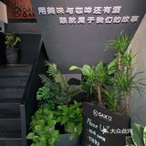 武汉探店📍适合聚餐过生日的餐厅