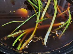 -石灰市毛记烧鸡公(解放碑店)