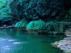 -杭州植物园