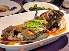 清蒸老虎斑-徐记海鲜(曲江南湖店)