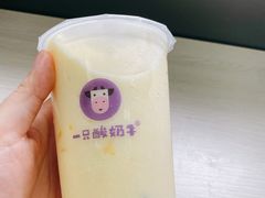 -一只酸奶牛(来福士店)