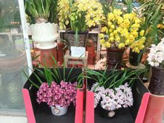 android_upload_pic-无锡文化工艺品市场(槐古路店)