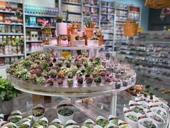 -KKV(深圳kk one 店)