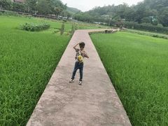 -红山村