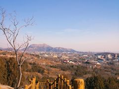 -白水寺森林公园