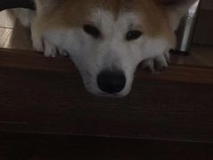 -YCHL Studios健身工作室(市二宫店)