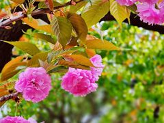 -西山漾湿地公园