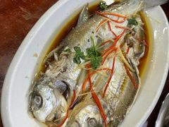 -丹水桥地锅鱼·翘嘴鲌·地方特色全鱼宴(丹江口大坝店)