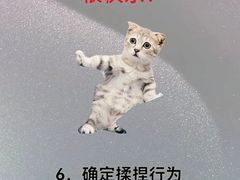 -凯瑞希宠物医院·狂犬免疫·微创·皮肤科