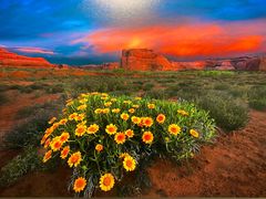 -罗红摄影艺术馆