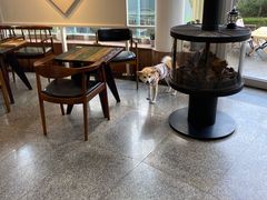 -莫内艺术岛海景咖啡