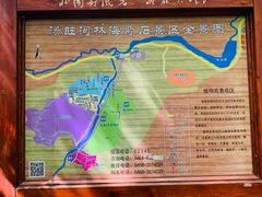 -汤旺河林海奇石景区