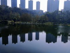 -重庆彩云湖湿地公园