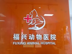-瑞派福兴宠物医院犬猫全科·骨科·中西医结合(河东店)