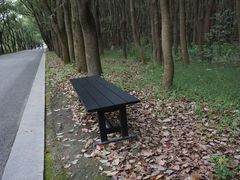 -同里国家湿地公园