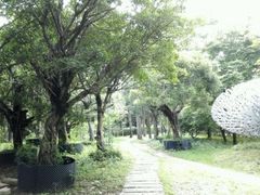 -四海公园(南山区)