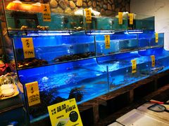 水产区-星龙海鲜(望江东路店)